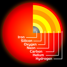Artist's Rendering of a the structure of a Red Supergiant
